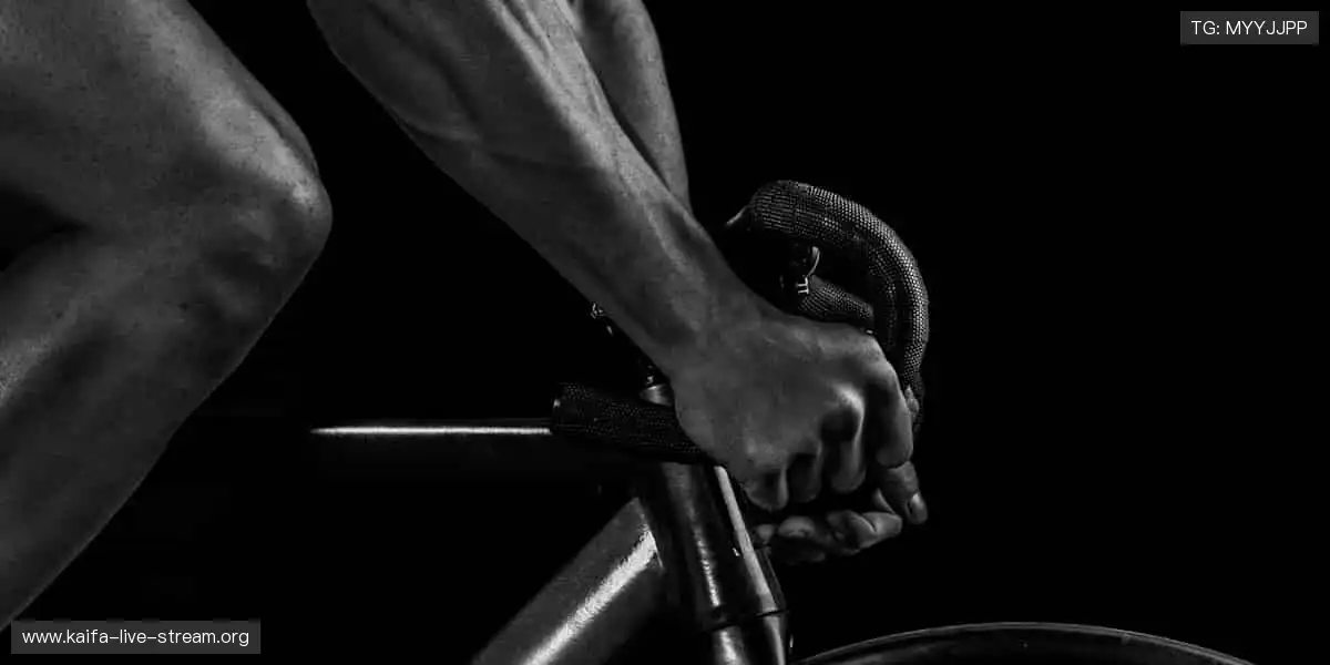 全球麻将手机乐园：掌上国粹随时胡牌，实时开房不停